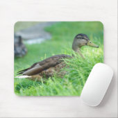 Mallard Mousepad (Mit Mouse)