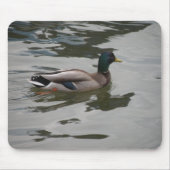 Mallard Mousepad (Vorne)