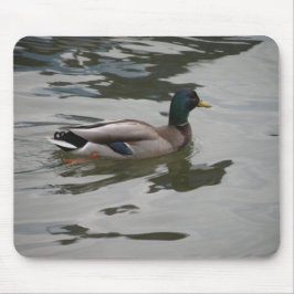 Mallard Mousepad