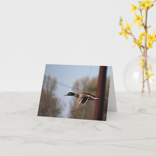 Mallard Note Card Karte (Gelbe Blume)