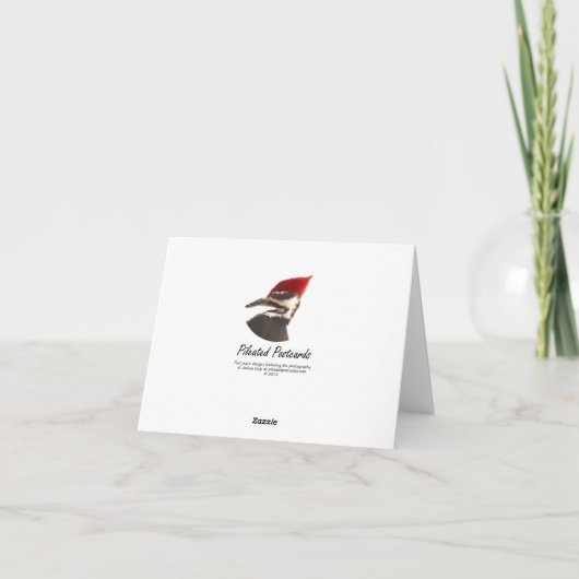 Mallard Note Card Karte (Rückseite)