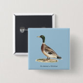 Mallard oder Wilde Ente (Anas platyrhynchos) Button (Vorne & Hinten)