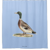 Mallard oder Wilde Ente (Anas platyrhynchos) Duschvorhang (Vorderseite)