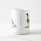 Mallard oder Wilde Ente (Anas platyrhynchos) Kaffeetasse (Mittel)