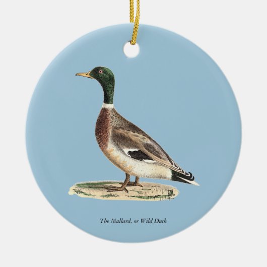 Mallard oder Wilde Ente (Anas platyrhynchos) Keramik Ornament (Vorne)