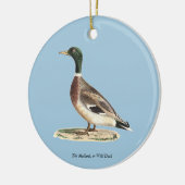 Mallard oder Wilde Ente (Anas platyrhynchos) Keramik Ornament (Links)