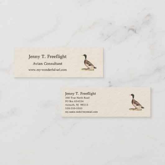 Mallard oder Wilde Ente (Anas platyrhynchos) Mini Visitenkarte (Vorne/Hinten)