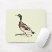 Mallard oder Wilde Ente (Anas platyrhynchos) Mousepad (Mit Mouse)