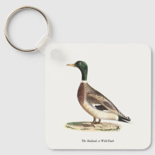 Mallard oder Wilde Ente (Anas platyrhynchos) Schlüsselanhänger