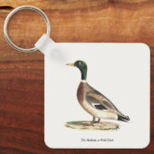 Mallard oder Wilde Ente (Anas platyrhynchos) Schlüsselanhänger (Vorderseite)