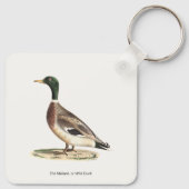 Mallard oder Wilde Ente (Anas platyrhynchos) Schlüsselanhänger (Rückseite)