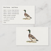 Mallard oder Wilde Ente (Anas platyrhynchos) Visitenkarte (Vorne/Hinten)