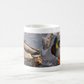 Mallard on Ice Coffee Tasse (Mittel)
