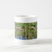 Mallard on Pond Kaffeetasse (Mittel)