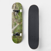 Mallard on Pond Skateboard (Vorderseite)