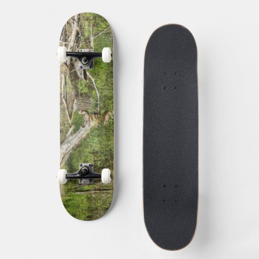 Mallard on Pond Skateboard (Vorderseite)