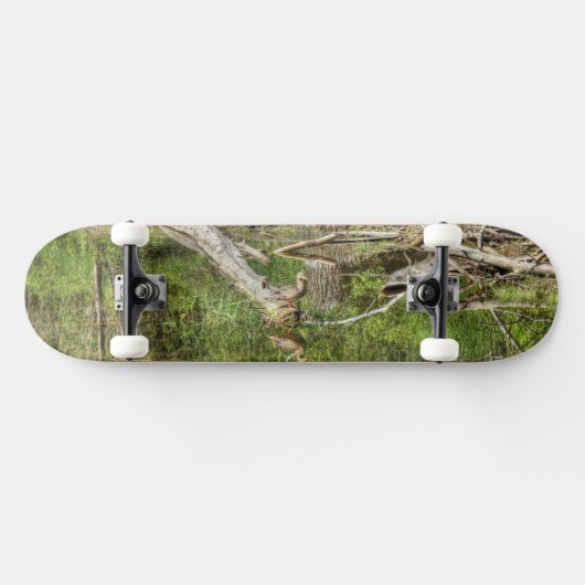 Mallard on Pond Skateboard (Horizontal)