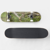 Mallard on Pond Skateboard (Horizontal)