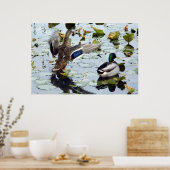 Mallard Pair in den Lily Pads Poster (Küche)