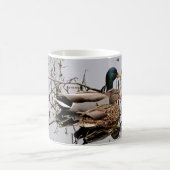 Mallard Pair Keramik Tasse (Mittel)