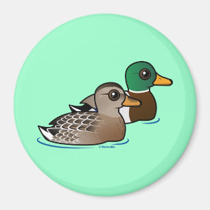 Mallard Pair Magnet
