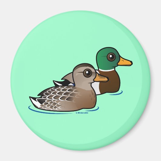 Mallard Pair Magnet (Vorne)