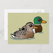 Mallard Pair Postkarte (Vorne/Hinten)