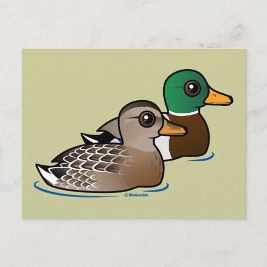 Mallard Pair Postkarte (Vorderseite)