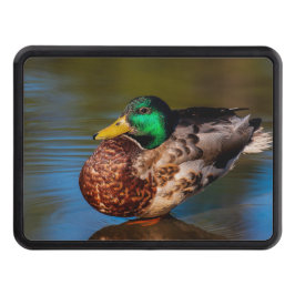 Mallard Portrait Abschlepphaken Cover