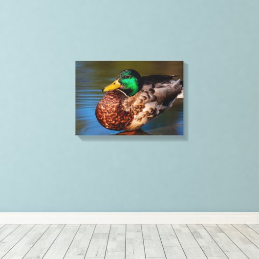 Mallard Portrait Leinwanddruck (Insitu (Holzboden))