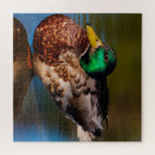 Mallard Portrait Puzzle (Horizontal)