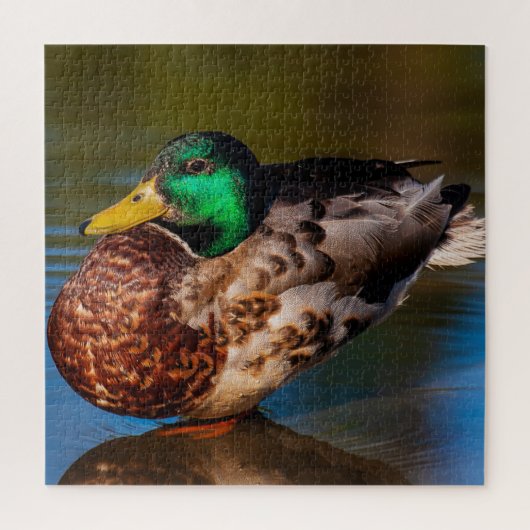 Mallard Portrait Puzzle (Vertikal)