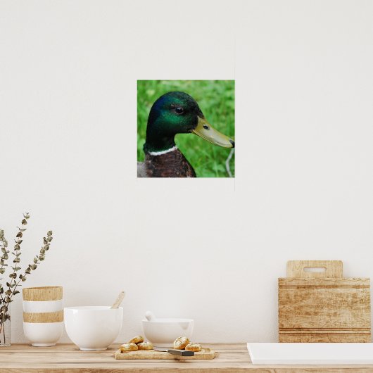 Mallard Poster (Küche)