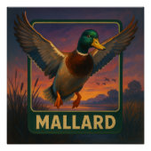 Mallard Poster (Vorderseite)