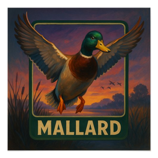 Mallard Poster (Vorderseite)