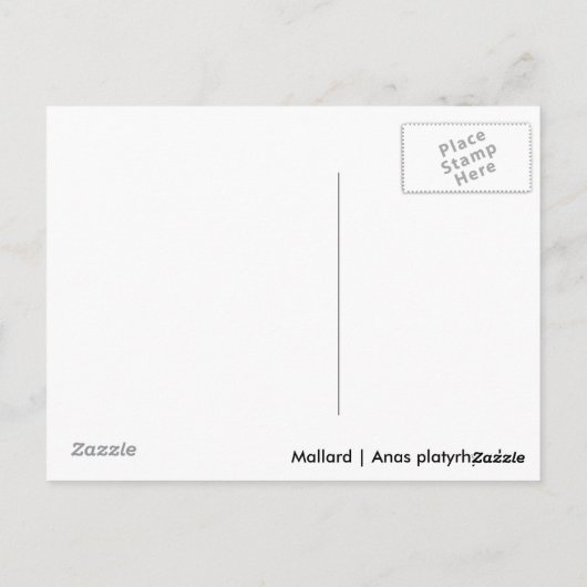 Mallard Postkarte (Rückseite)