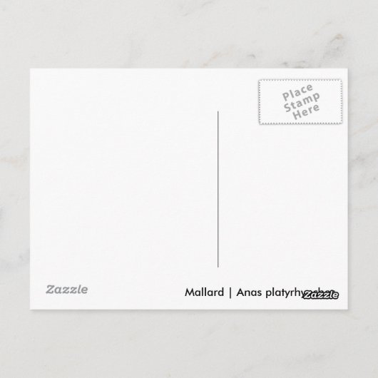 Mallard Postkarte (Rückseite)