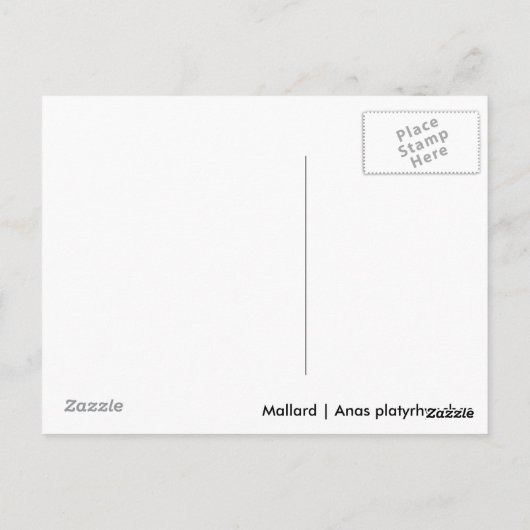 Mallard Postkarte (Rückseite)