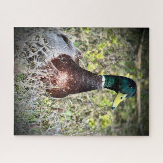 Mallard Puzzle (Horizontal)