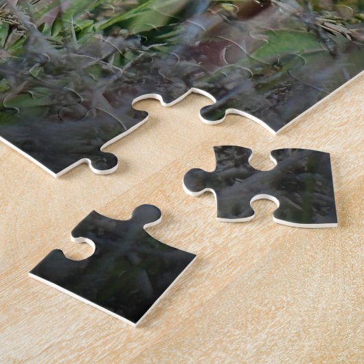 Mallard Puzzle (Seite)