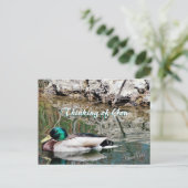 Mallard Reflections Postcard anpassen Postkarte (Stehend Vorderseite)