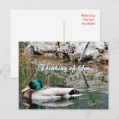Mallard Reflections Postcard anpassen Postkarte (Vorne/Hinten)