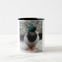 Mallard-Tasse