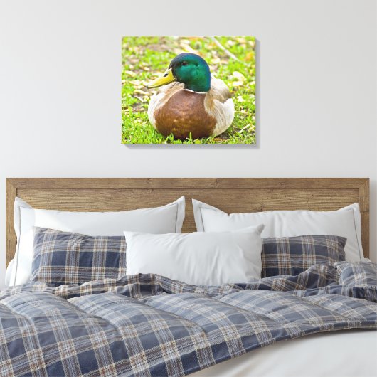 Mallard the Duck Leinwanddruck (Insitu (Schlafzimmer))