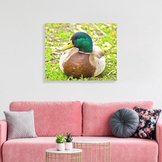 Mallard the Duck Leinwanddruck (Insitu (Wohnzimmer))