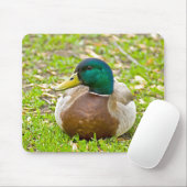 Mallard the Duck Mousepad (Mit Mouse)