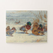 Mallard und aquamarin im Schnee, Vögel Puzzle (Horizontal)