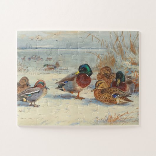 Mallard und aquamarin im Schnee, Vögel Puzzle (Horizontal)