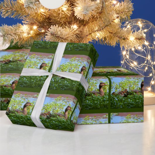 Mallard und Ducklings Swimming by Shirley Taylor Geschenkpapier (Feiertage)