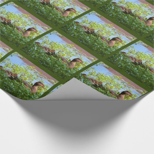 Mallard und Ducklings Swimming by Shirley Taylor Geschenkpapier (Ecke)